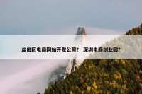 盐田区电商网站开发公司？ 深圳电商创业园？