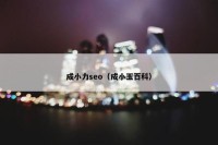 成小力seo（成小玉百科）