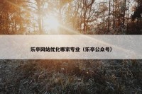 乐亭网站优化哪家专业（乐亭公众号）
