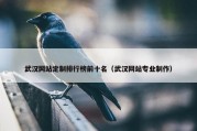 武汉网站定制排行榜前十名（武汉网站专业制作）