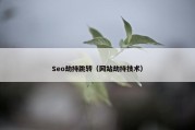 Seo劫持跳转（网站劫持技术）