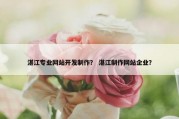 湛江专业网站开发制作？ 湛江制作网站企业？
