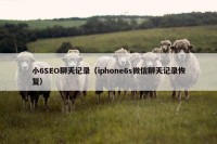 小6SEO聊天记录（iphone6s微信聊天记录恢复）