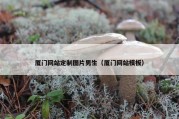 厦门网站定制图片男生（厦门网站模板）