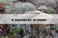 厦门网站定制图片男生（厦门网站模板）