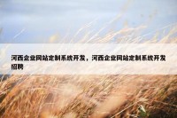 河西企业网站定制系统开发，河西企业网站定制系统开发招聘
