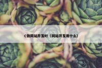 C做网站开发时（网站开发用什么）