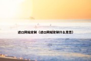 进口网站定制（进口网站定制什么意思）