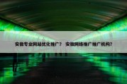 安徽专业网站优化推广？ 安徽网络推广推广机构？