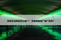 安徽专业网站优化推广？ 安徽网络推广推广机构？
