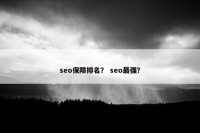 seo保障排名？ seo最强？