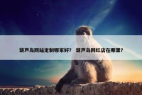 葫芦岛网站定制哪家好？ 葫芦岛网红店在哪里？