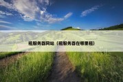 租服务器网站（租服务器在哪里租）