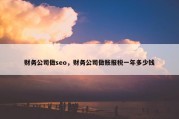财务公司做seo，财务公司做账报税一年多少钱