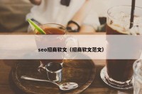 seo招商软文（招商软文范文）