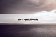 南SEO老师的简单介绍