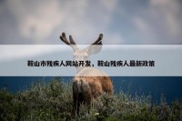 鞍山市残疾人网站开发，鞍山残疾人最新政策
