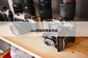 seo落后的简单介绍