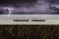 伊春银川网站推广（伊春网站建设）