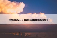 双鸭山网站seo（双鸭山网站制作建设地址）
