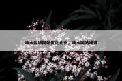 响水盐城网站优化企业，响水网站建设