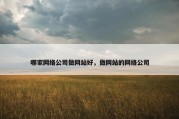 哪家网络公司做网站好，做网站的网络公司