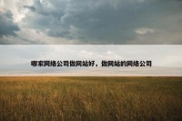 哪家网络公司做网站好，做网站的网络公司