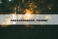 浑南区专业性网站建设优势（专业型网站）