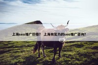 上海seo推广价格？ 上海有实力的seo推广咨询？
