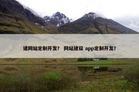 建网站定制开发？ 网站建设 app定制开发？