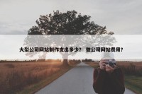 大型公司网站制作支出多少？ 做公司网站费用？