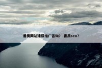 番禺网站建设推广咨询？ 番禺seo？