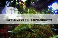 江岸专业网站定制多少钱（网站定制公司哪家专业）