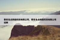 泰安支点网络科技有限公司，泰安支点网络科技有限公司招聘