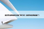 南京专业网站优化推广哪个好（南京知名网站推广）