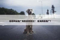 龙岩网站推广海报素材优化？ 龙海网络推广？