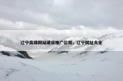 辽宁高级网站建设推广公司，辽宁网址大全