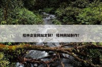 桂林企业网站定制？ 桂林网站制作？