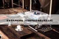 石龙手机网站建设（石龙数码科技有限公司怎么样）
