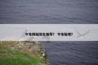 宁东网站优化推荐？ 宁东贴吧？