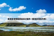 医保目录模板网站设计制作（医保目录的作用）