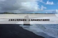 上海市公司网站建设（上海网站建设方案策划）
