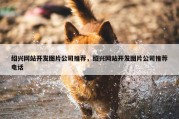 绍兴网站开发图片公司推荐，绍兴网站开发图片公司推荐电话