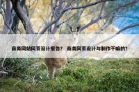 商务网站网页设计报告？ 商务网页设计与制作干嘛的？