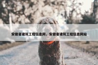 安徽省建筑工程信息网，安徽省建筑工程信息网站