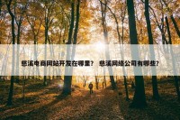 慈溪电商网站开发在哪里？ 慈溪网络公司有哪些？