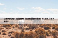 企业网站推广途径要点（企业进行网站推广的主要方法有哪些）