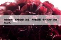 如何选择广告网站推广渠道（如何选择广告网站推广渠道的方法）
