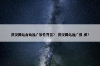 武汉网站自动推广软件开发？ 武汉网站推广很 棒？
