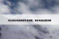 河北保定电商网站开发招聘，保定电商运营招聘